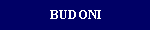 CLICCA PER VISITARE BUDONI